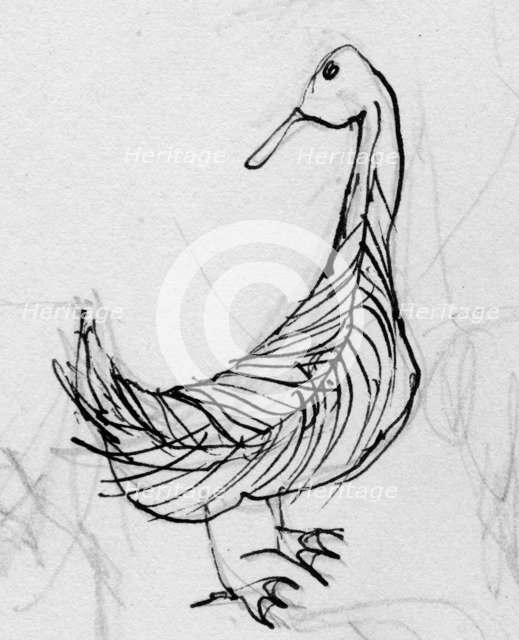 Bird, c1950. Creator: Shirley Markham.