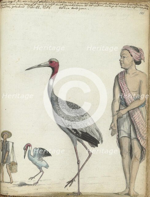 Crane, 1784. Creator: Jan Brandes.