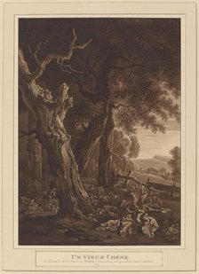 Ancient Oaks in a Landscape, 1792. Creator: Wilhelm von Kobell.