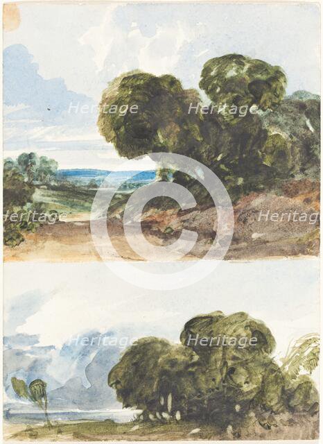 Two Sketches of Trees. Creator: James Bulwer.