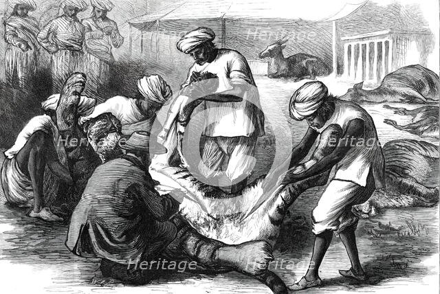 Skinning a Tiger, from a sketch by one of our special artists in India,  1876. Creator: Unknown.