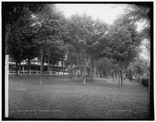 Lawn at Hyde Manor, Green Mountains, between 1900 and 1906. Creator: Unknown.