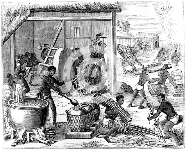 Sugar production, 1873.  Creator: Unknown.