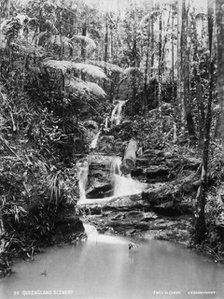 Falls in creek: Crohamhurst, 1894. Creator: Unknown.