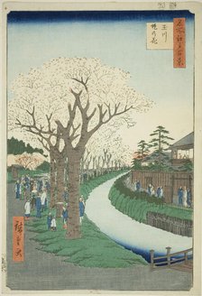 Blossoms on the Tama River Embankment (Tamagawa-zutsumi no hana), from the series..., 1856. Creator: Ando Hiroshige.