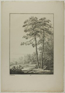 Plate 28 from Blatt Baum und Landschafts Studien, c.1810. Creator: Lorenz Ekemann Alesson.