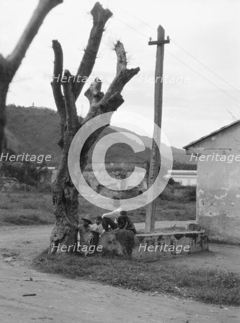 Travel views of Cuba and Guatemala, between 1899 and 1926. Creator: Arnold Genthe.