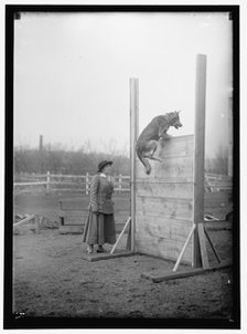 Society circus, between 1909 and 1923. Creator: Harris & Ewing.