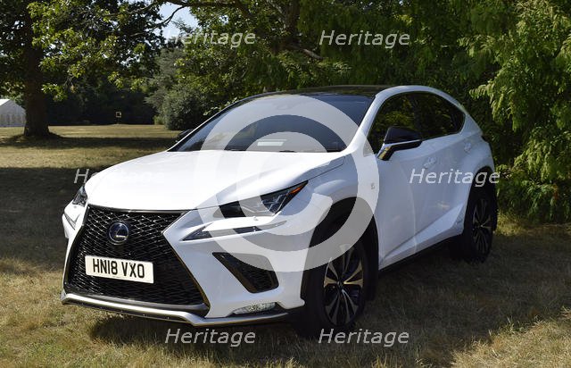2018 Lexus NX F Sport. Creator: Unknown.
