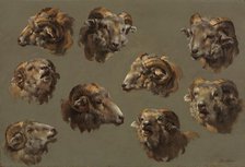 Studies of Ram Heads, 1700s. Creator: Unknown.
