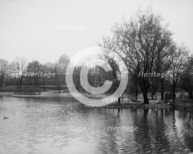 The Lake, zoo, Cincinnati, Ohio, between 1900 and 1910. Creator: Unknown.