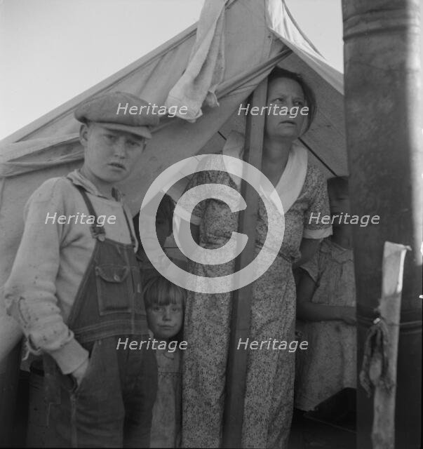 Refugee family from the Rio Grande Valley, Texas, near Holtville, California, 1937. Creator: Dorothea Lange.