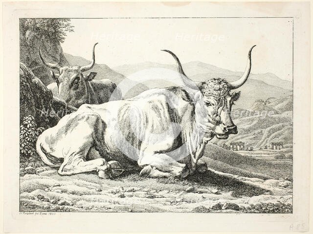 Two Roman Bulls Resting, from Die Zwiete Thierfolge, 1800. Creator: Johann Christian Reinhart.