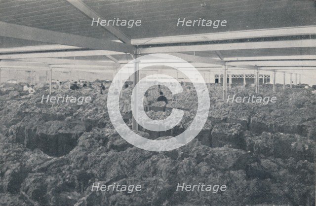 'Wool for Sale in a Melbourne Showroom', 1923. Creator: Unknown.