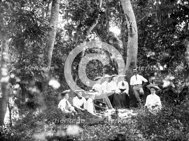 Rainforest picnic, possibly Gold Coast hinterland, 1885. Creator: Robert Augustus Henry L'Estrange.