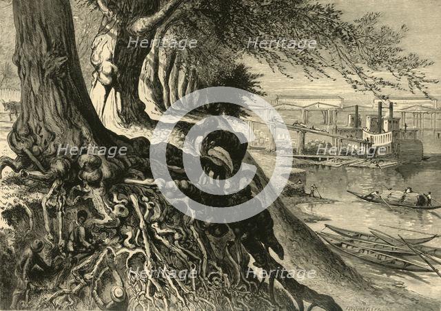 'The Savannah, at Augusta', 1872.  Creator: Frederick William Quartley.