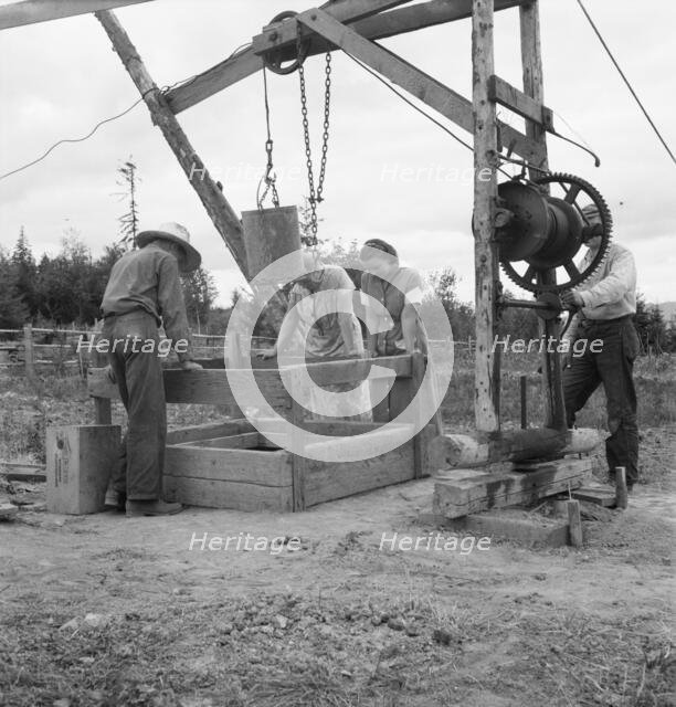 Note on rural life, near Rochester, Thurston County, western Washington, 1939. Creator: Dorothea Lange.