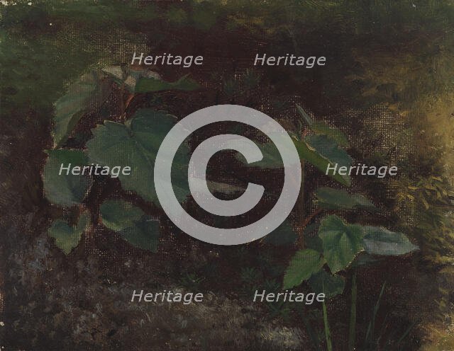 Tree Plants, sketch for the painting Fairy Tale Princess, c1895-1896. Creator: Torsten Wasastjerna.