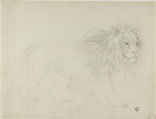 Lion, n.d. Creator: Sawrey Gilpin.