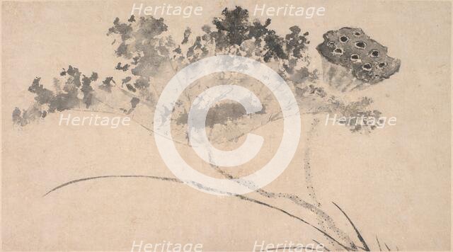 Lotus Flower and Pod, c16th century. Creator: Unknown.