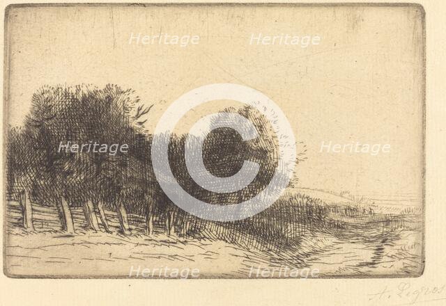Landscape (Un paysage). Creator: Alphonse Legros.