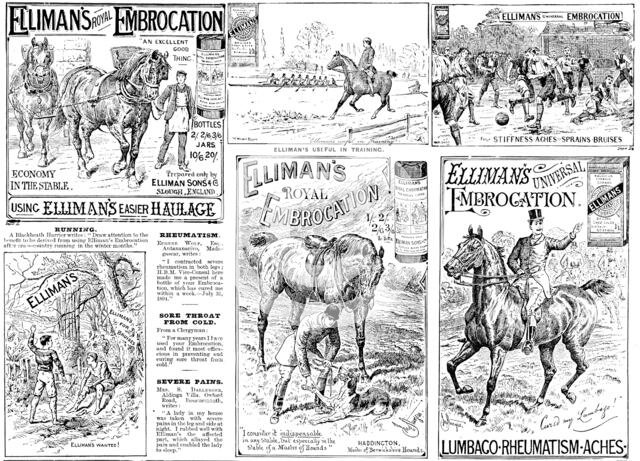 Advertisement for Elliman's Royal and Universal Embrocations, 1895. Creator: Unknown.