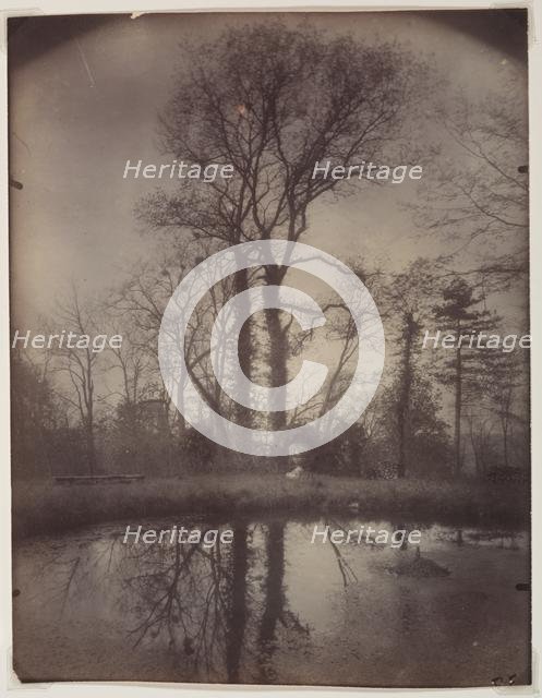 The Park at Sceaux [April 1925, 7a.m.], 1925. Creator: Eugène Atget (French, 1857-1927).
