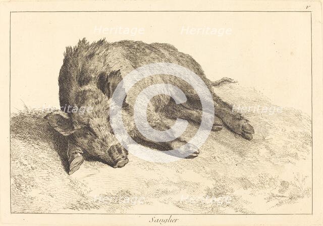 Sanglier (Wild Boar Lying Down, Head to the Left). Creator: Jacques Philippe Le Bas.