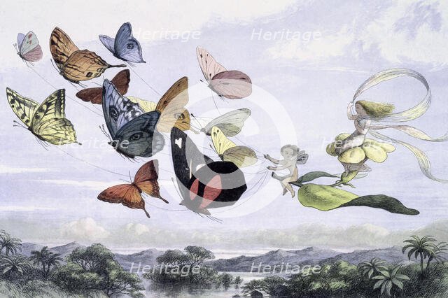 'Water lilies and water fairies of the period', c1869-c1870. Creator: Richard Doyle.