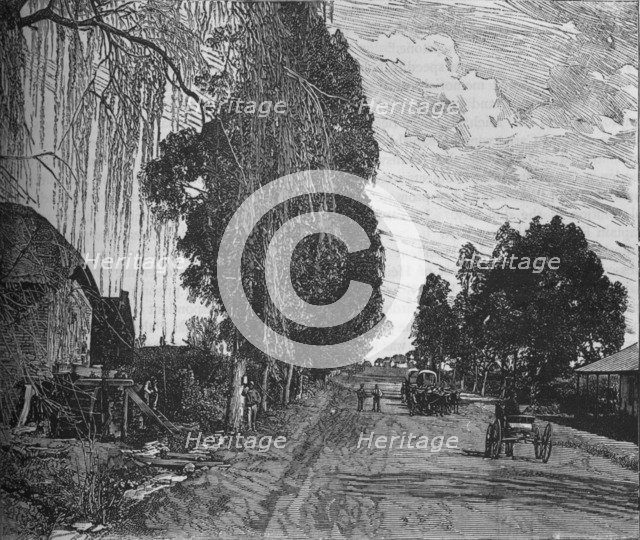 'View near Pretoria', c1880. Artist: Unknown.