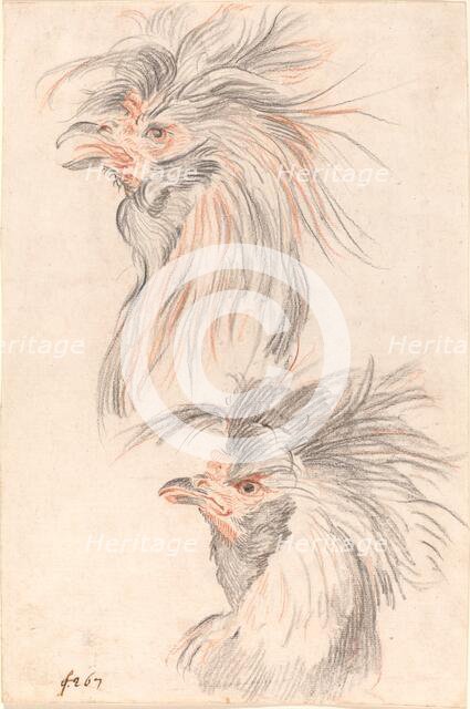 Fighting Cock, c. 1775. Creator: Johann Rudolf Schellenburg.