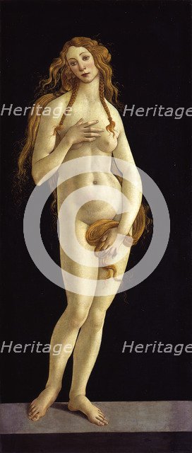 Venus, 1490.