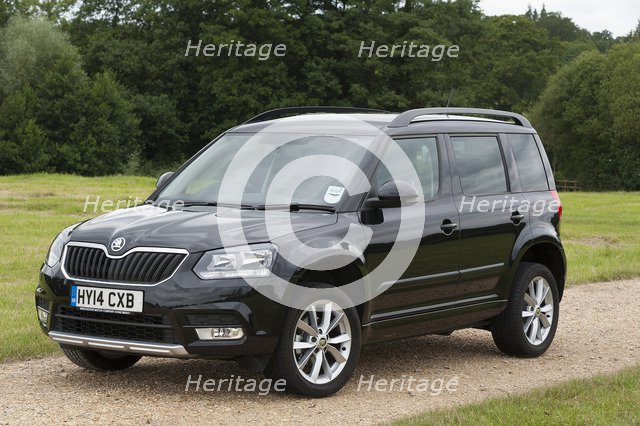 2014 Skoda Yeti SE Artist: Unknown.