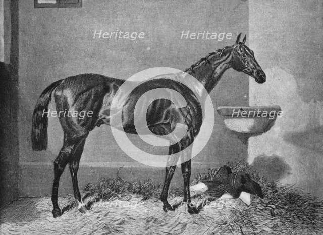 'Russborough', 19th century, (1911). Artist: Unknown.