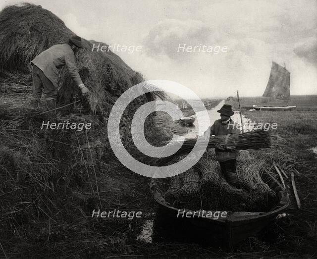 Ricking the Reed, 1886. Creator: Peter Henry Emerson.