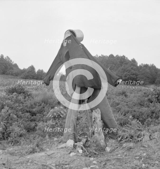 Untitled, possibly realted to: Scarecrow on a newly cleared..., near Roxboro, North Carolina, 1939. Creator: Dorothea Lange.