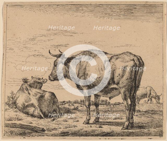 Standing Bull, c. 1657/1659. Creator: Adriaen van de Velde.