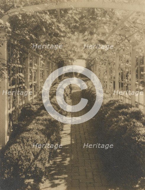 Grape arbor, George Read II house...New Castle, Delaware, 1928. Creator: Frances Benjamin Johnston.