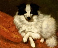 Study of a dog, 1861-1862. Creator: Courbet, Gustave (1819-1877).