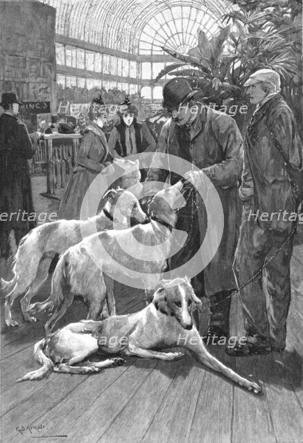''The Crystal Palace Dog Show -- Russian Wolf Hounds awaiting their turn to Enter the Ring', 1890. Creator: Unknown.