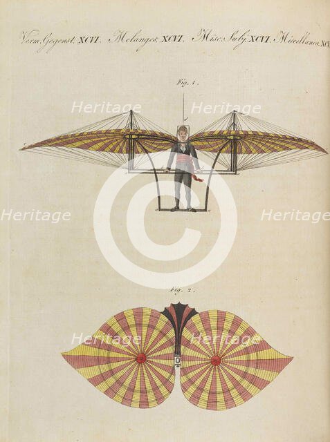 Children's Picture Book (Children's encyclopaedia) by Friedrich Johann Justin Bertuch, 1798-1830. Creator: Pupils of the Weimar Princely Free Drawing School.