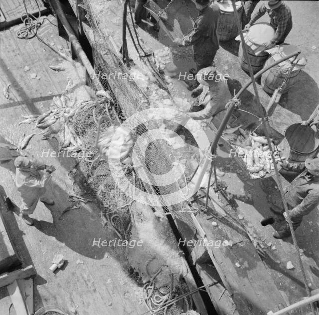 Fulton fish market dock stevedores unloading and weighing fish in the early morning, New York, 1943. Creator: Gordon Parks.