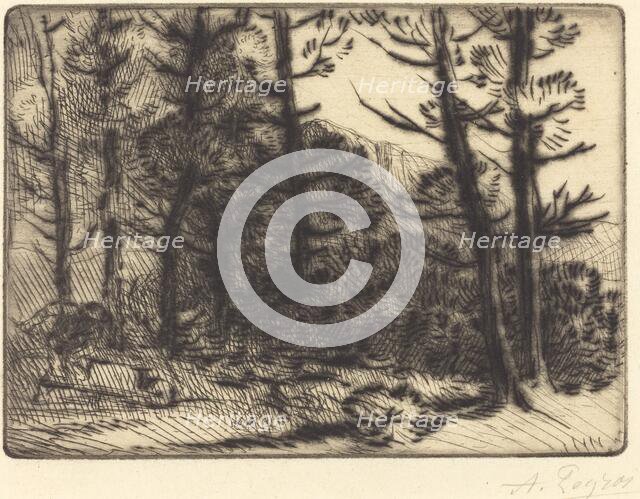Woods in Winter Sun, 2nd plate (Soleil d'hiver dans les bois). Creator: Alphonse Legros.