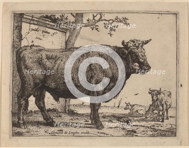 Bull, 1650. Creator: Paulus Potter.