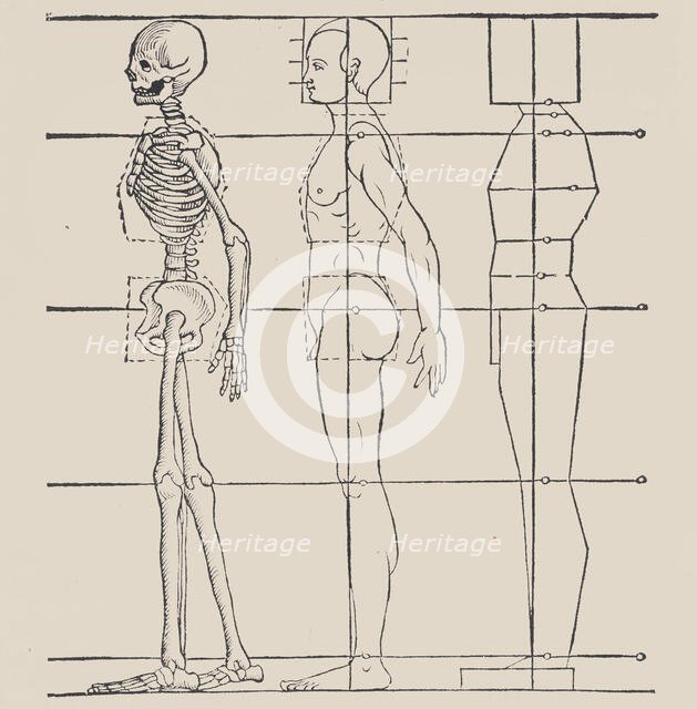 Anatomical illustration, 1564. Creator: Heinrich Lautensack.