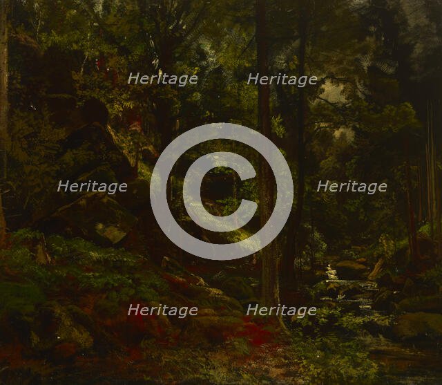 Stream in the Woods, 19th century. Creator: Adolf Dressler.