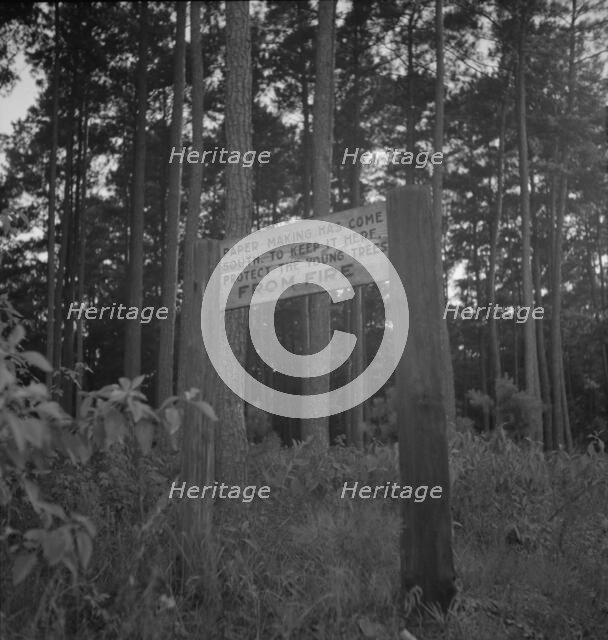Roadsign, Fullerton, Louisiana, 1937. Creator: Dorothea Lange.