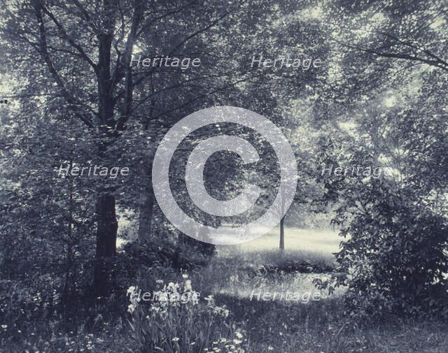 Landscape of trees and meadow with irises in foreground, c1900. Creator: Unknown.