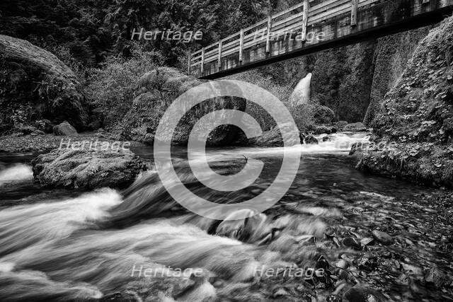 Creeping. Creator: Joshua Johnston.