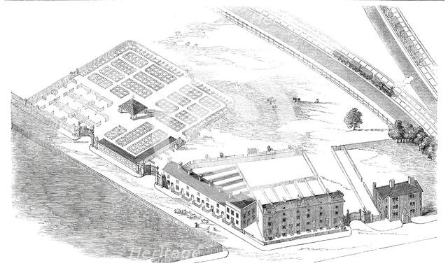 New Cattle-Market, Reading, 1850. Creator: Unknown.